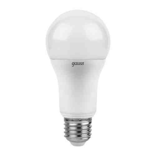 Лампа GAUSS LED A 60 globe 12 W E 27 2700 K 102502112