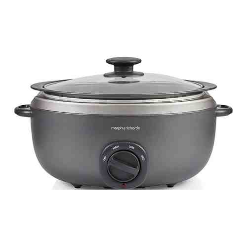 Медленноварка Morphy Richards Sear and Stew 3.5L OvalTitanium